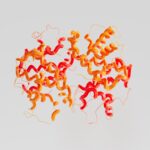 3D representation of a peptide structure in vibrant colors.